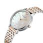 Preview: Emporio Armani AR2508 Damenuhr